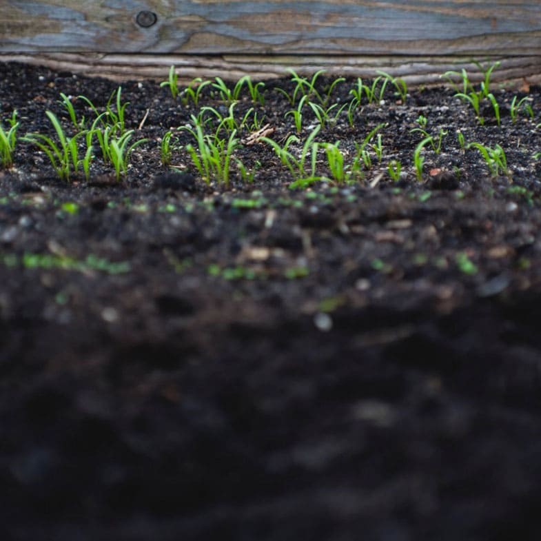 Terreau universel qualité premium (en sac de 40L)