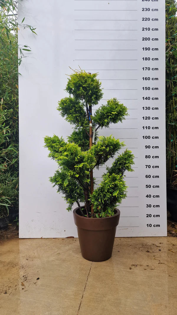 Pot Milano - 25/50/95/150/220L