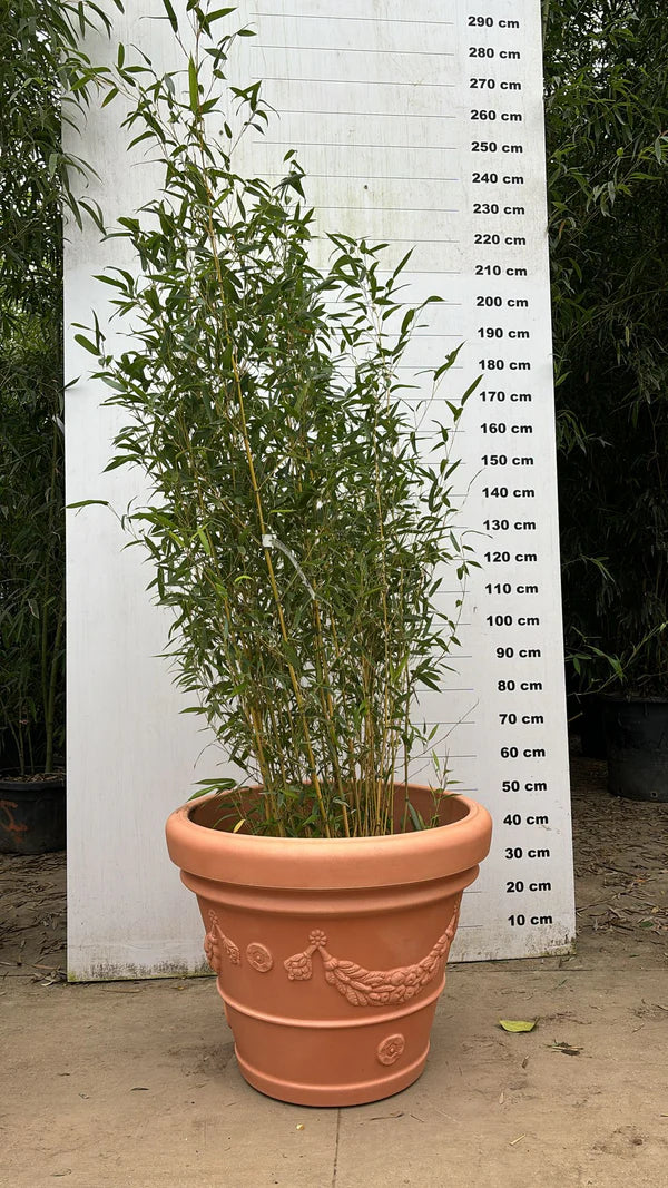 Pot Genova - 35/65/100/120/160L