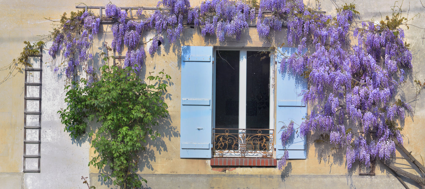 Glycine