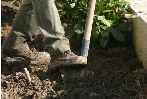 Comment réaliser la pose d'une barrière anti-rhizome ?