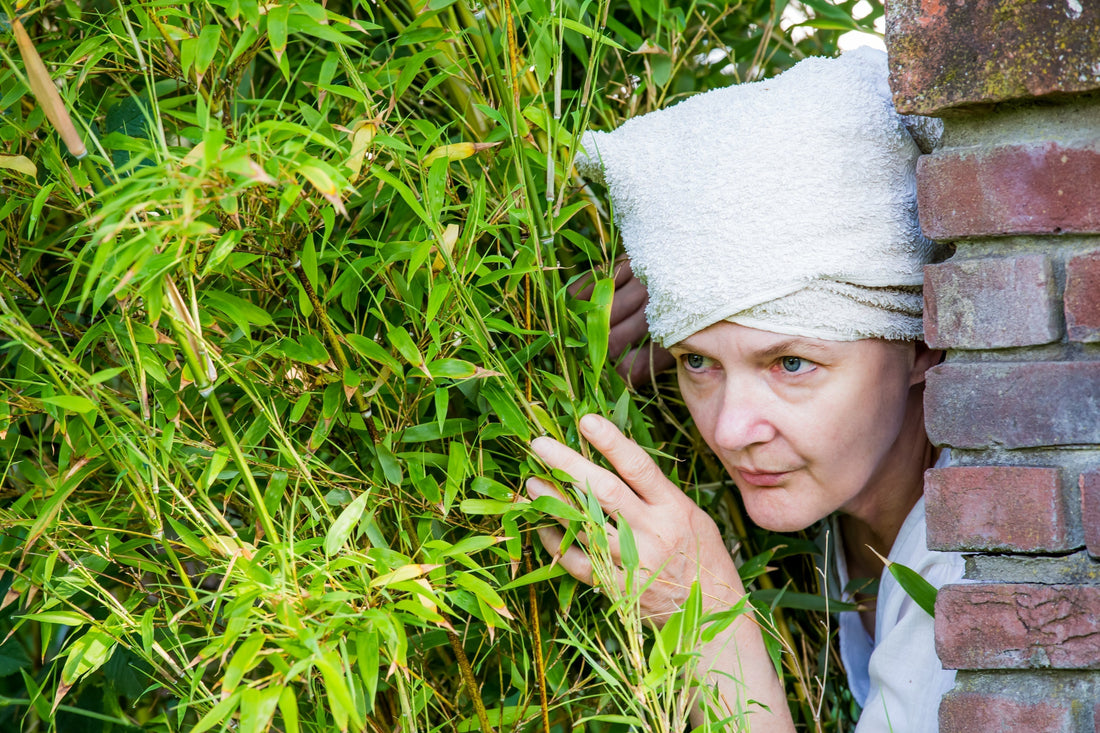 La meilleure plante pour protéger son vis-à-vis : le bambou ?