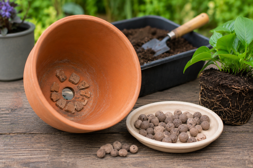 Comment bien drainer un pot pour éviter l'asphyxie racinaire ?
