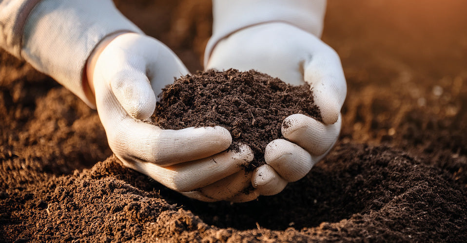 Anti-rhizome et terreaux