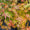 Image to render