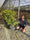Image to render