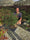 Image to render