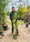 Image to render