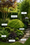 Image to render