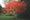 Image to render