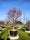 Image to render