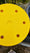 Image to render