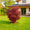Image to render