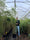 Image to render