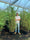 Image to render