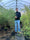 Image to render