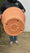 Image to render