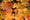 Image to render