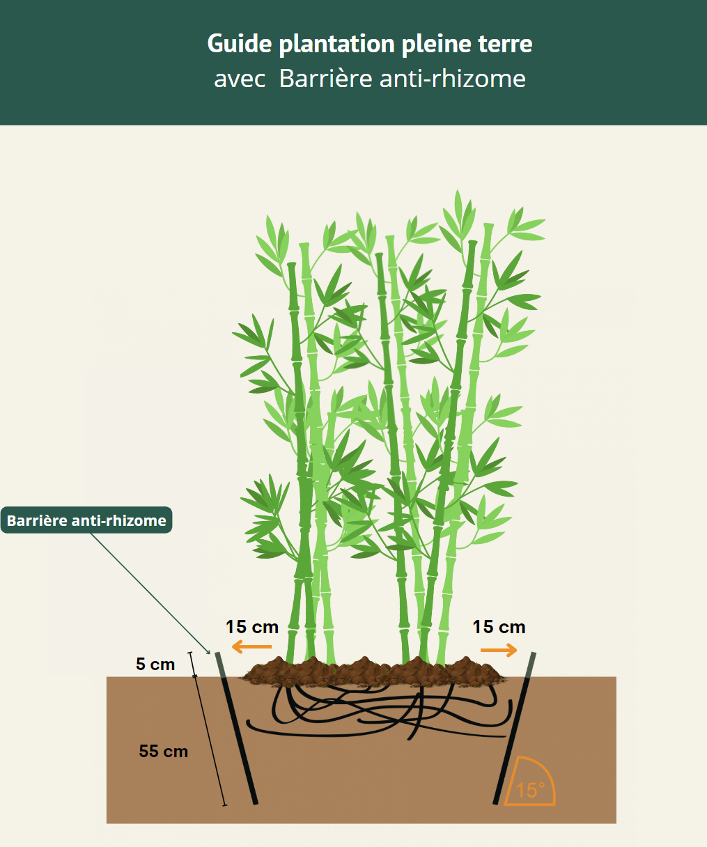 Barrière anti-rhizome (au mètre linéaire) - Par Bambouseraie de Paris