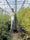 Image to render