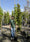 Image to render