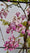 Image to render
