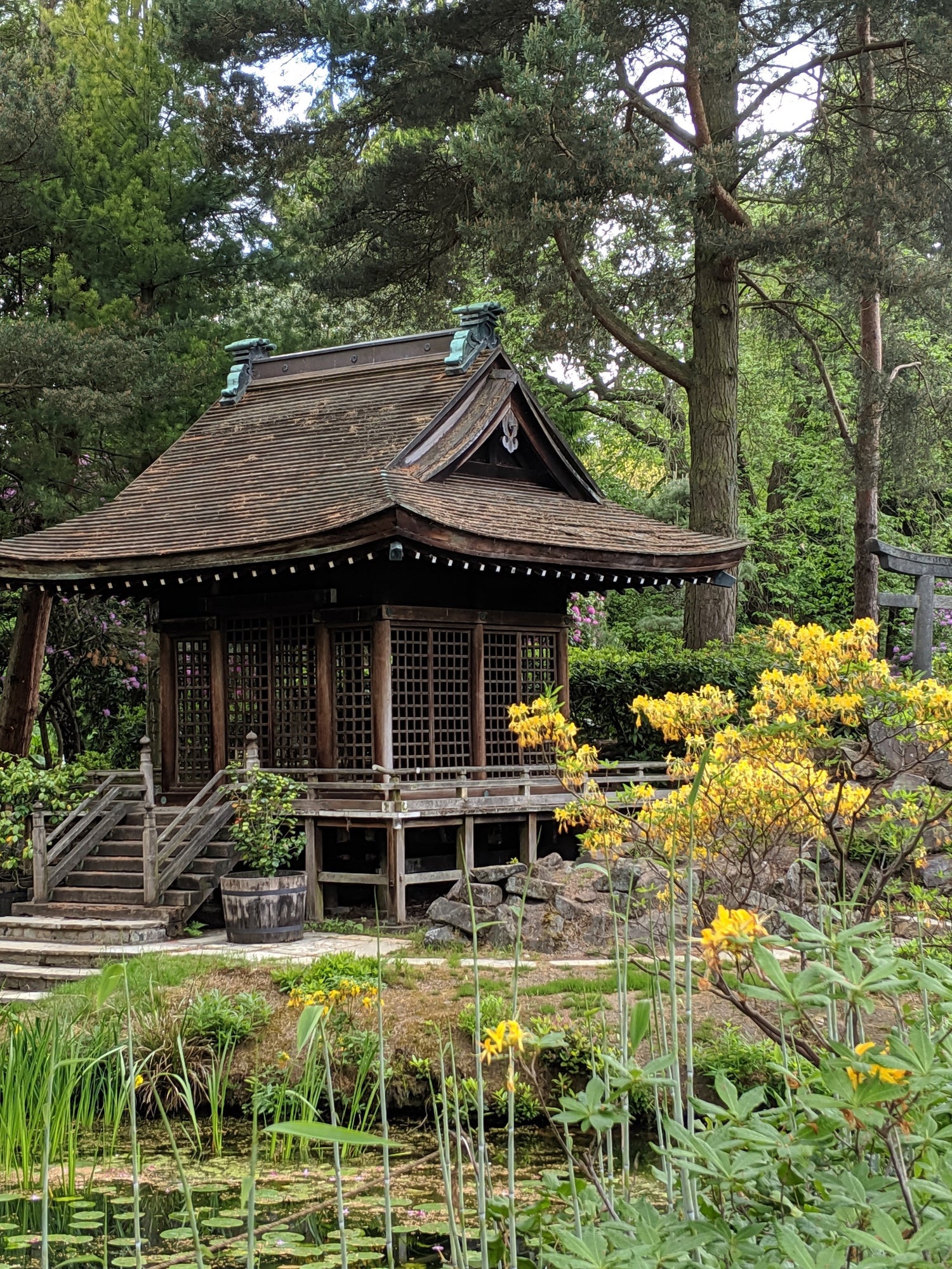 Comment se créer un beau jardin zen pour se détendre ?