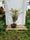 Image to render